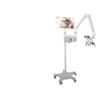 CBCT, Panoramic & Ceph